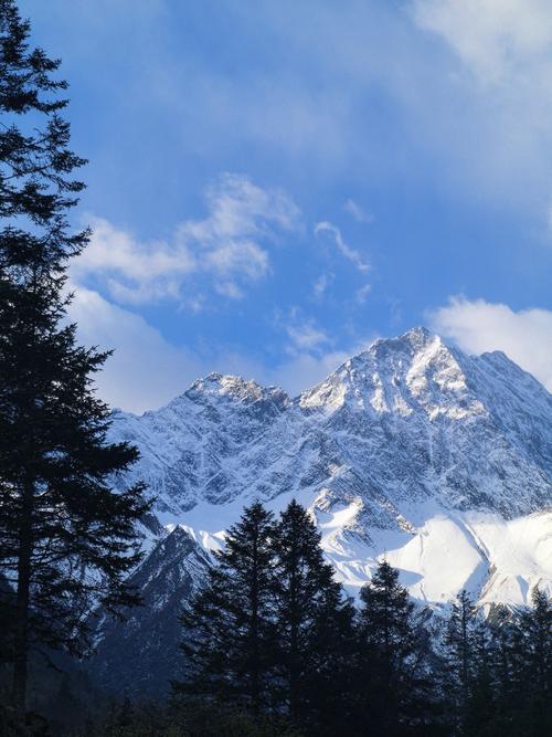 浪潮服务器：国产科技巨头的崛起，还是“伪国产”的争议？